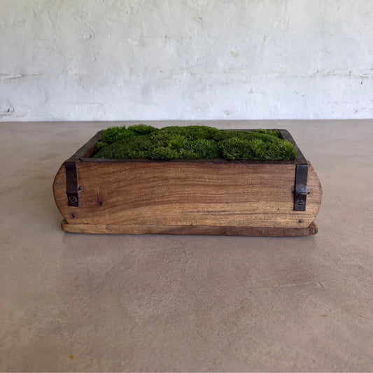 Décor Moss Bowl - Real Preserved Moss - Florastyle By Hingham