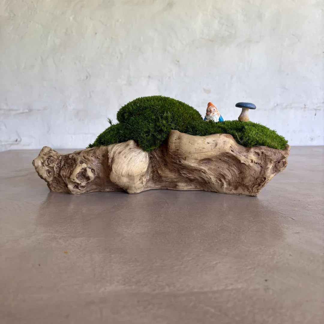 Décor Moss Bowl - Real Preserved Moss - Florastyle By Hingham