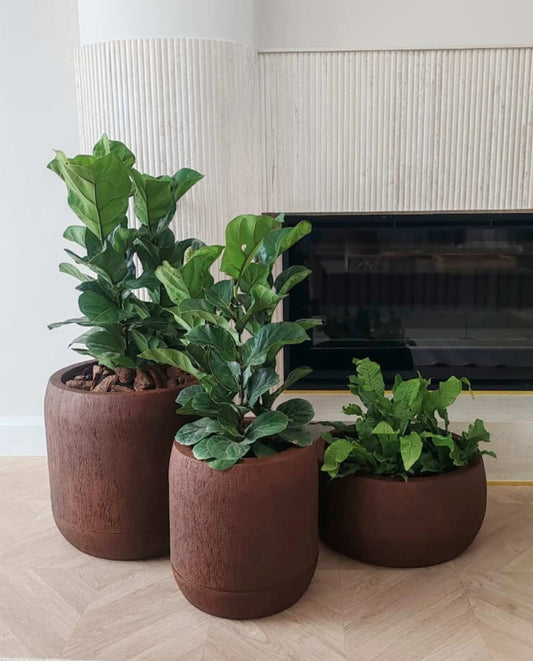 Three lightweight fiddle leaf fig plants in Florastyle By Hingham Oma Japi Planters are arranged before a modern fireplace with a textured white wall and light wood flooring.