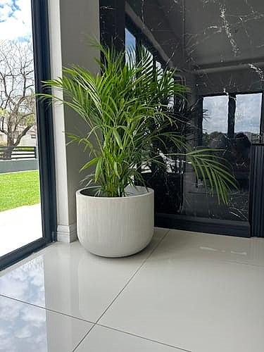 Fringe Round Japi Planter – Florastyle By Hingham