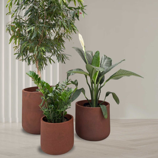 Three green indoor plants in Nativa Japi Planters by Florastyle By Hingham, featuring smart drainage and optional lighting/irrigation, are arranged on a light wood floor against a neutral wall with white vertical paneling.