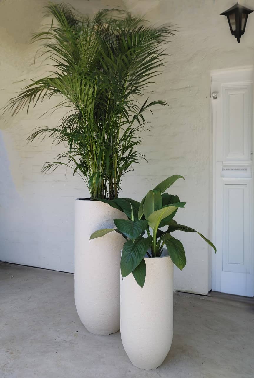 Lifestyle picture of the European Verticale Japi planters in small and Large. Planted up with a bamboo plam and a large peace lily/spathyphyllum.