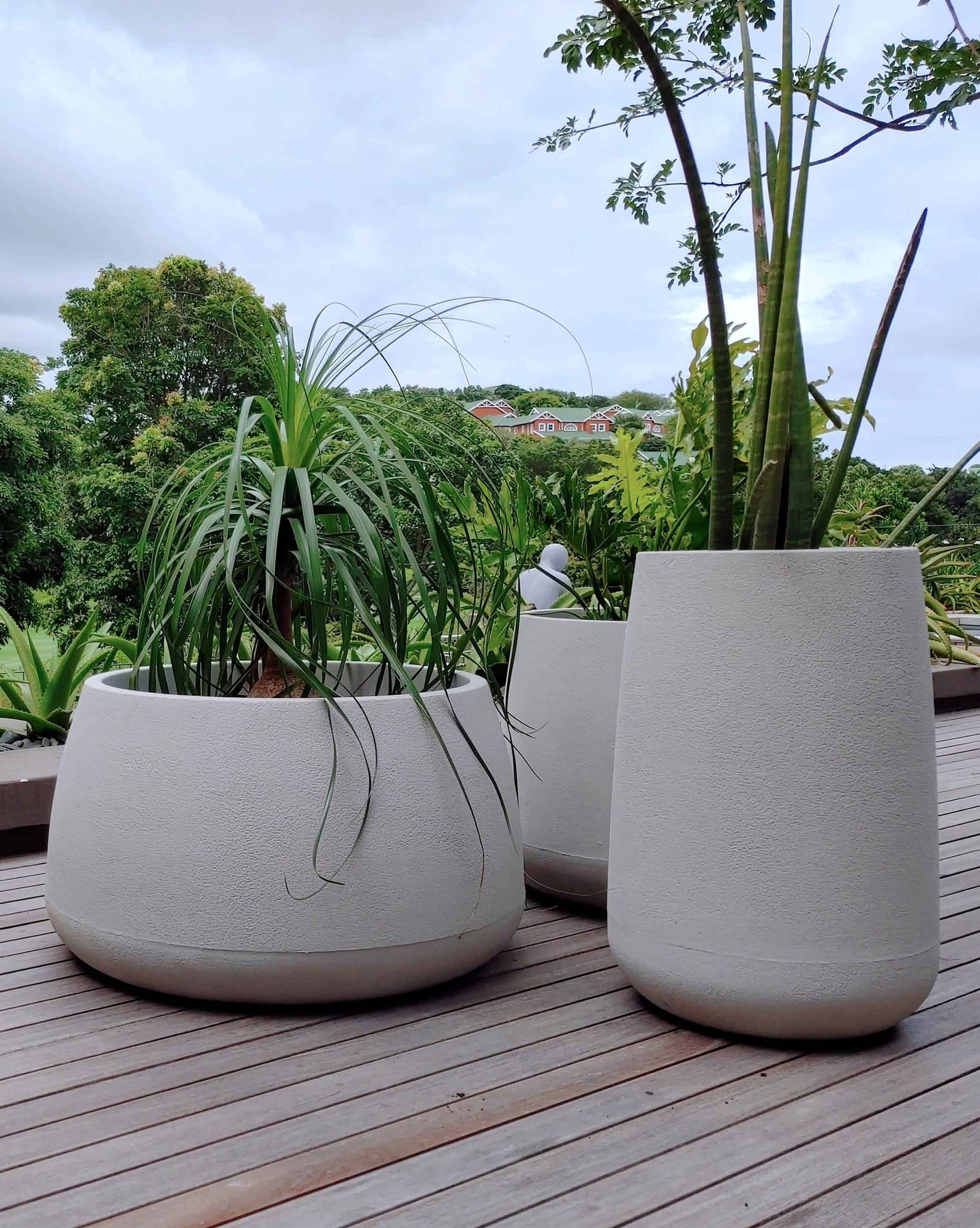 Set of 3 Bio planters, low, medium and tall, all with plants planted in them on the deck in a beautiful  home setting. Colour Sandstone. Orders at Florastyle by Hingham. Textured finish.
