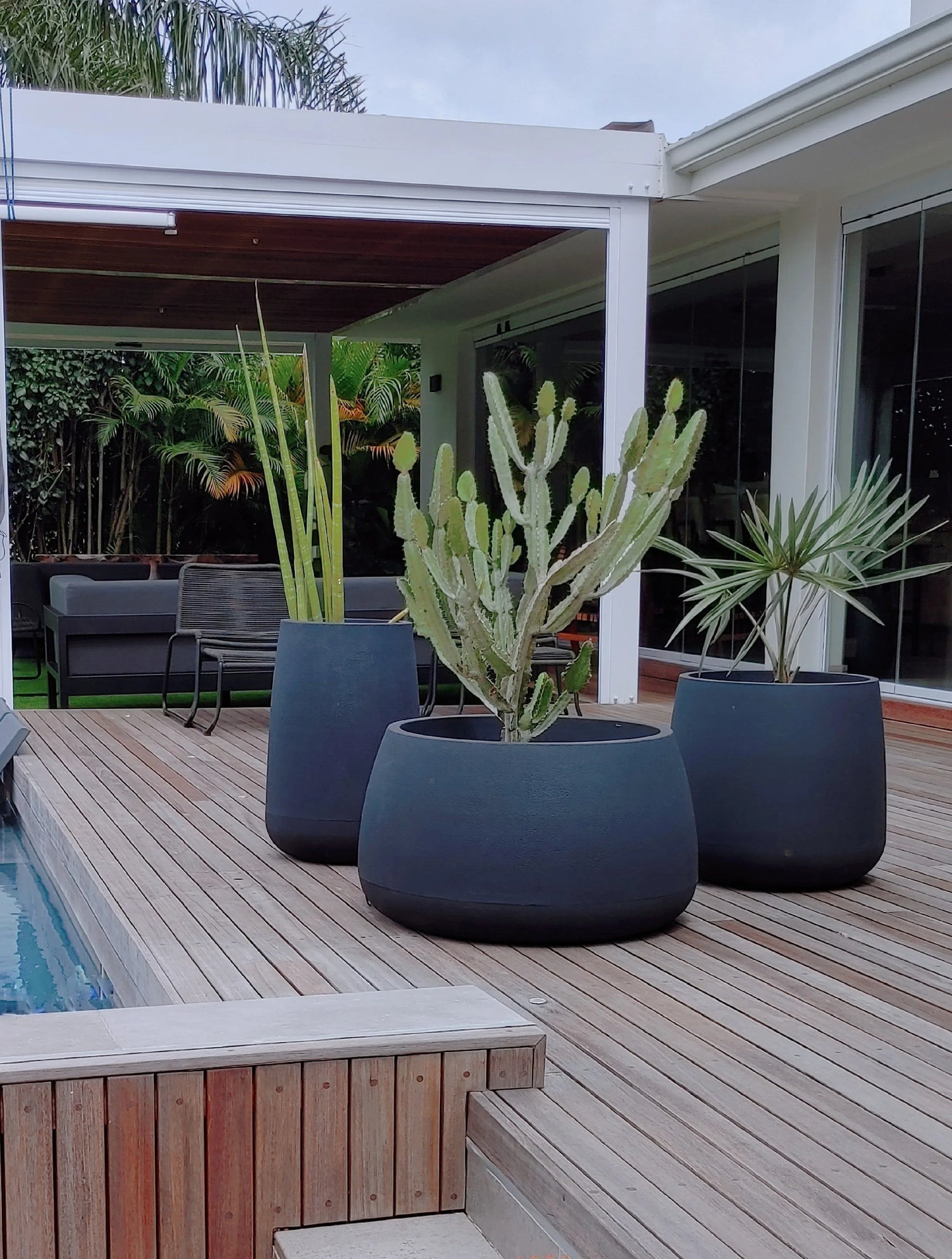 Large potted plants, including a cactus, stand on a wooden deck near a pool. There’s outdoor seating under a pergola and a modern white house with glass doors in the background.