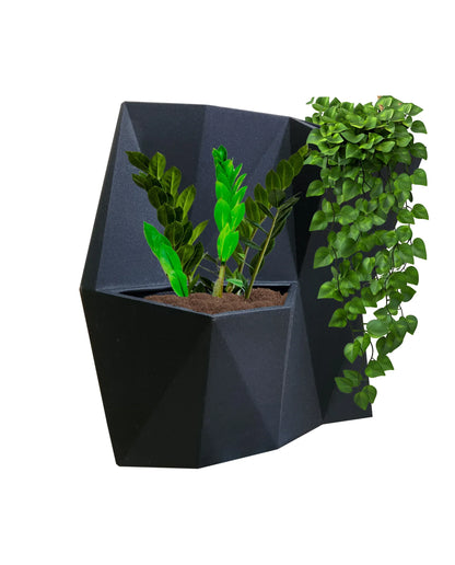 Wall mounted planter with plants on a white background