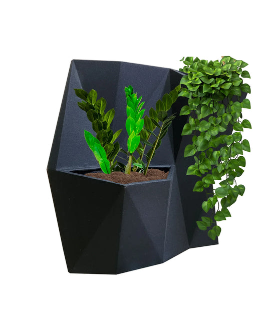 Wall mounted planter with plants on a white background