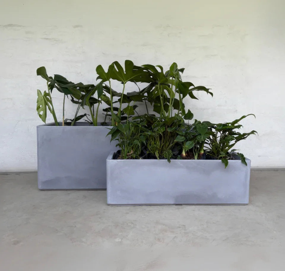 Two Flat Japi Window Box - Double Walled planters by Florastyle By Hingham, one larger and taller than the other, hold leafy green plants on a smooth, light-colored floor against a plain white wall.