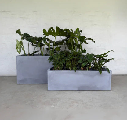 Two Flat Japi Window Box - Double Walled planters by Florastyle By Hingham, one larger and taller than the other, hold leafy green plants on a smooth, light-colored floor against a plain white wall.