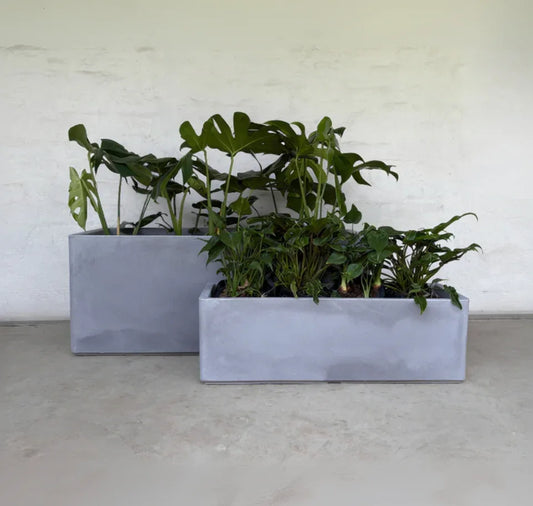 Flat Japi Window Box - Double Walled