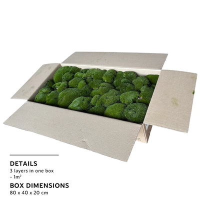 Bulk Box - Real Preserved Ball Moss