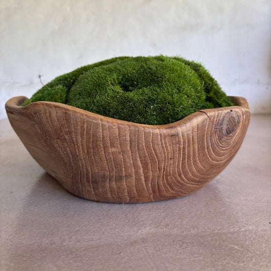 Décor Moss Bowl - Real Preserved Moss - Florastyle By Hingham