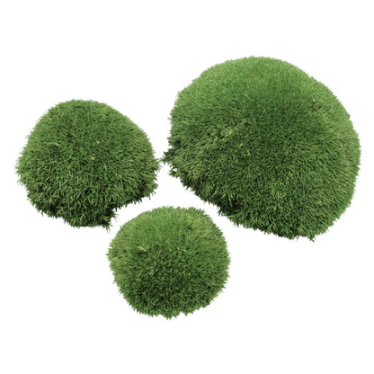 Travel Box - Real Preserved Ball Moss