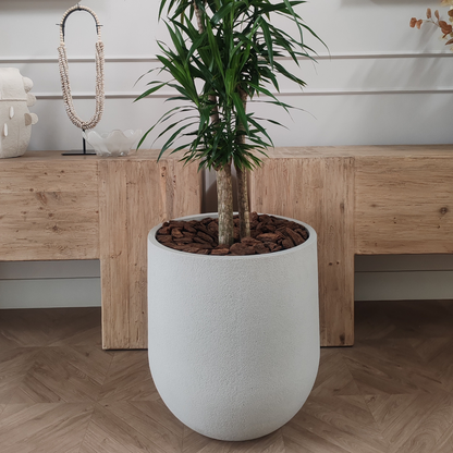 Rustic Cask Japi Planter