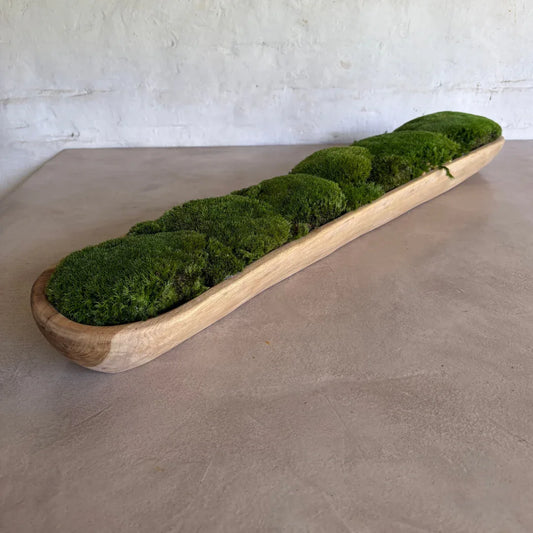Décor Moss Bowl - Real Preserved Moss - Florastyle By Hingham