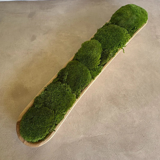 Décor Moss Bowl - Real Preserved Moss - Florastyle By Hingham