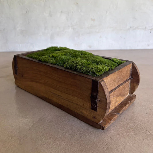 Décor Moss Bowl - Real Preserved Moss - Florastyle By Hingham