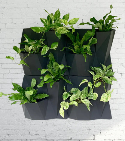Angolo Japi Studio Wall Planter