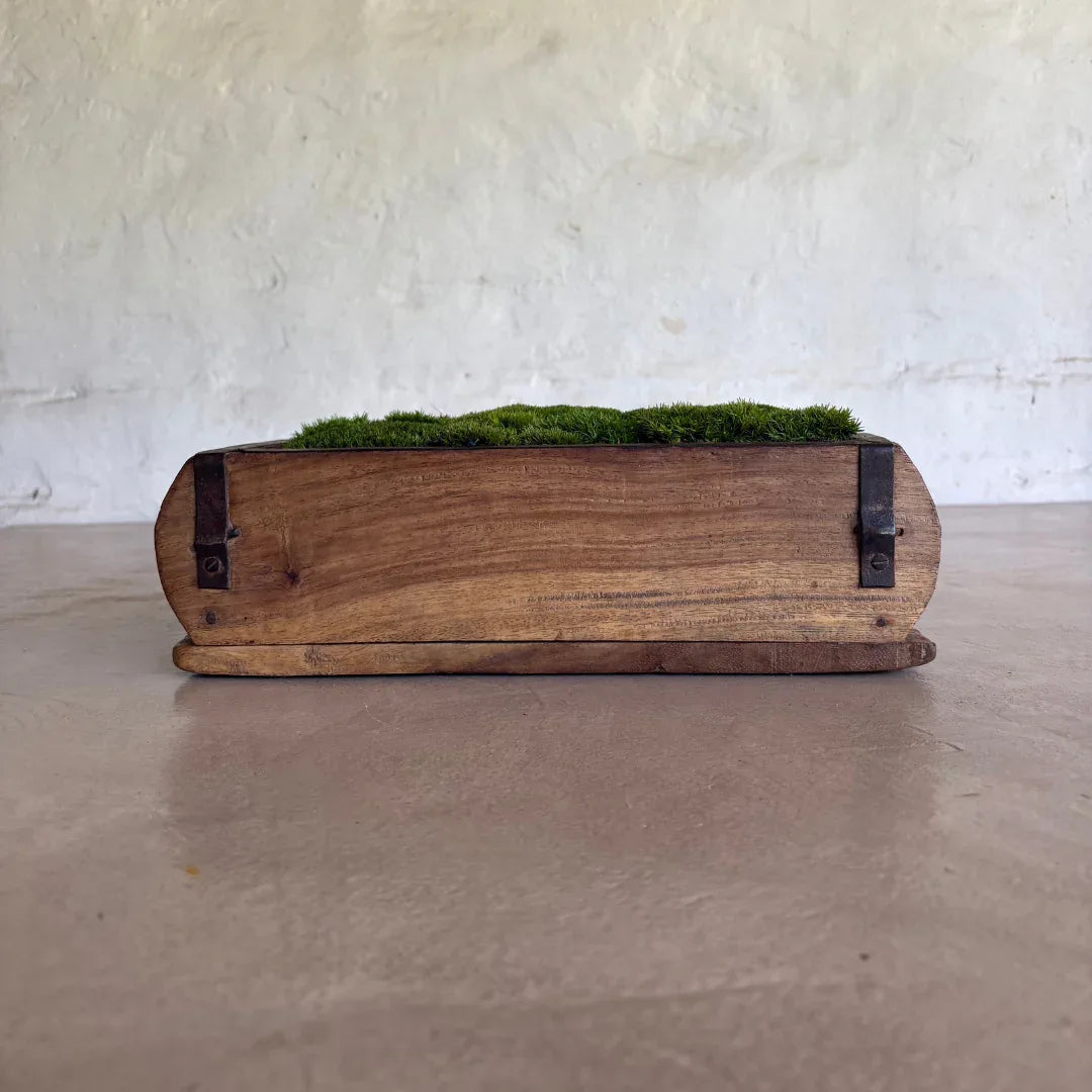 Décor Moss Bowl - Real Preserved Moss - Florastyle By Hingham