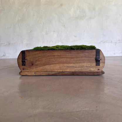 Décor Moss Bowl - Real Preserved Moss - Florastyle By Hingham