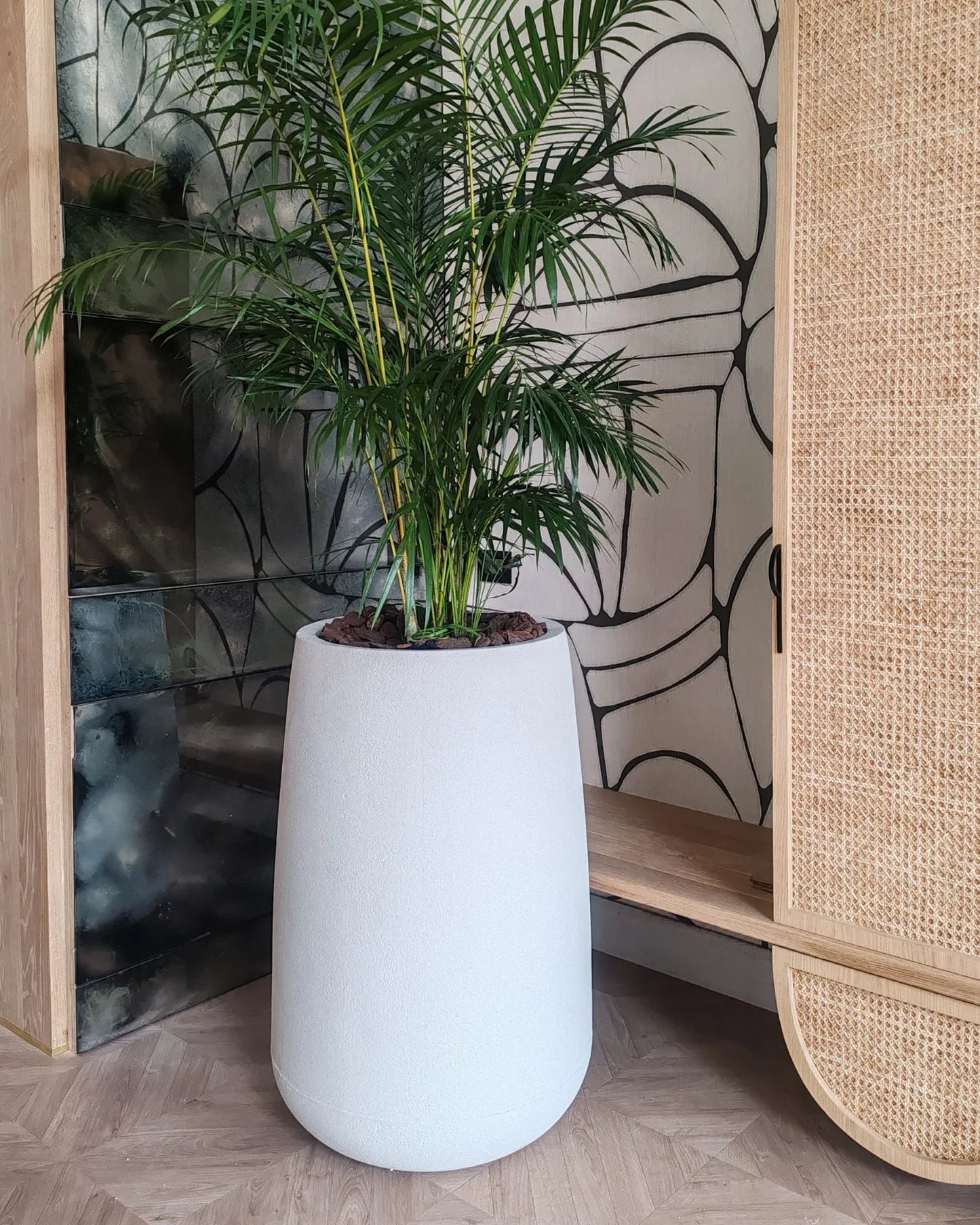 Bios Japi Planters       (click for details)