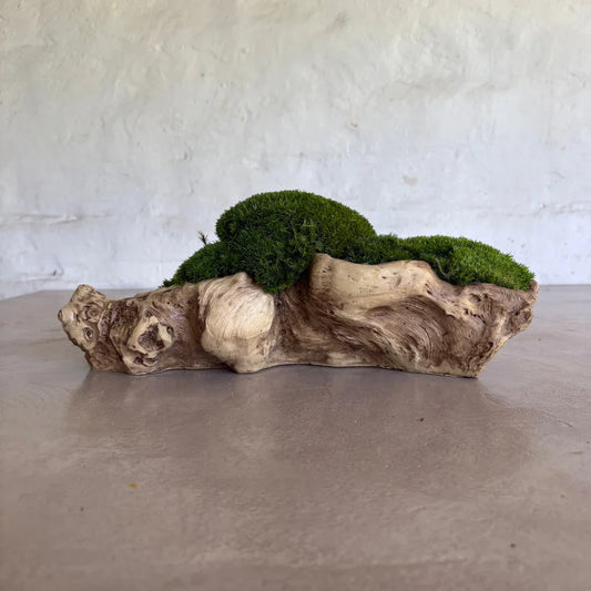 Décor Moss Bowl - Real Preserved Moss - Florastyle By Hingham