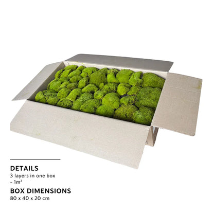 Bulk Box - Real Preserved Ball Moss