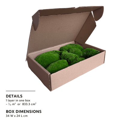 Travel Box - Real Preserved Ball Moss