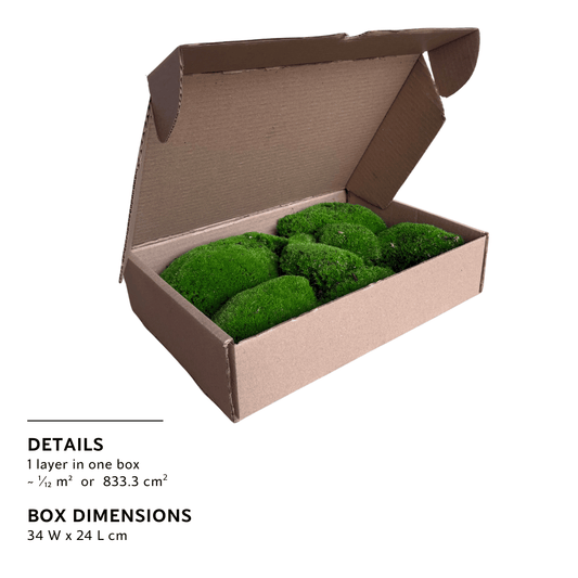 Travel Box - Real Preserved Ball Moss