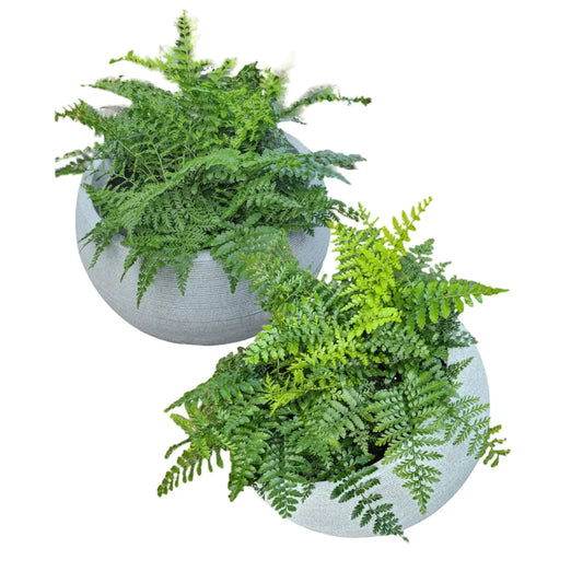 Two granite coloured Japi Linear Bowls with plants growing directly in them, placed against a white background.