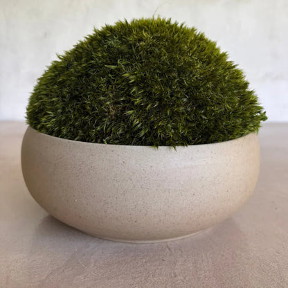 Décor Moss Bowl - Real Preserved Moss - Florastyle By Hingham