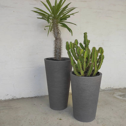 Gorgeous picture of the small and medium European Conic Japi planters. Side by side planted up with Euphorbia. A stunning compliment the the colour of the planters which are  Black Slate