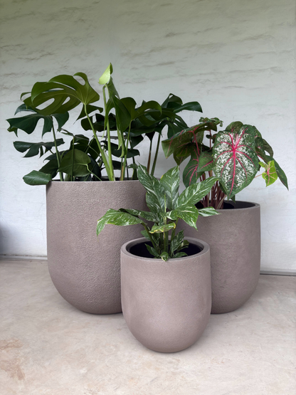 Rustic Cask Japi Planter