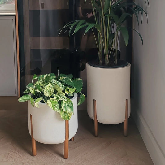 Two potted plants in off white cylindrical planters with wooden legs on a light wood floor. One is a slender tall pot the other is shorter.