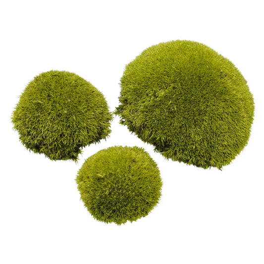 Real Preserved Ball Moss