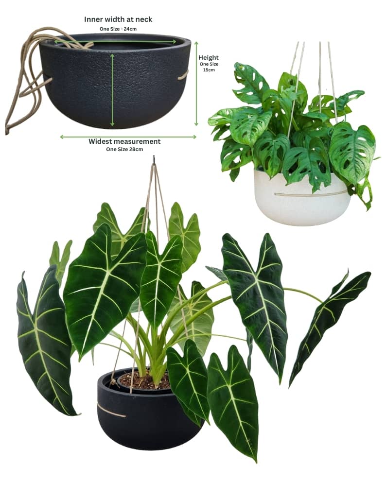 RUSTIC PENDANT - JAPI HANGING PLANTER