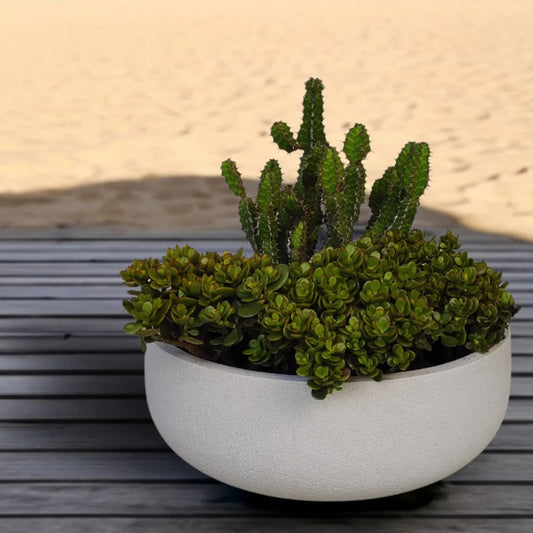 Rustic Bowl Japi Planter