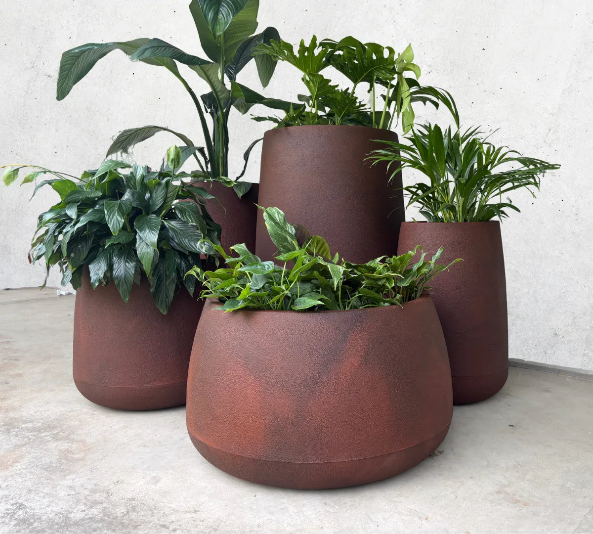 Bios Japi Planters       (click for details)