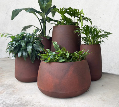 Bios Japi Planters       (click for details)
