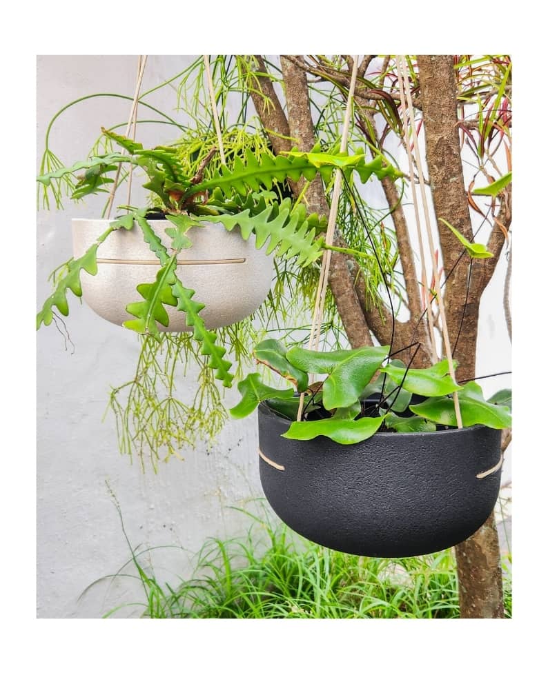 RUSTIC PENDANT - JAPI HANGING PLANTER