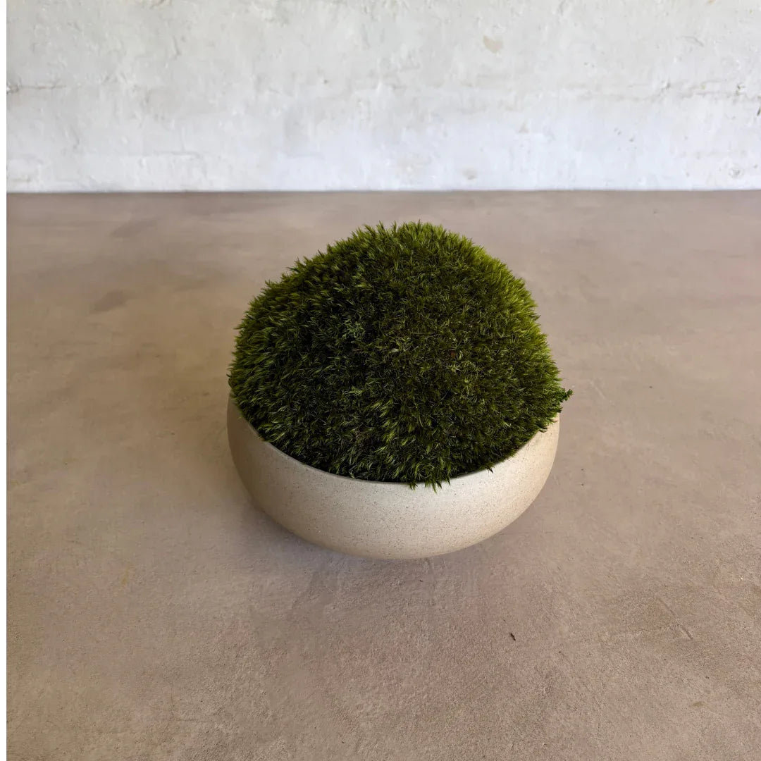 Décor Moss Bowl - Real Preserved Moss - Florastyle By Hingham