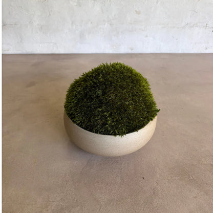 Décor Moss Bowl - Real Preserved Moss - Florastyle By Hingham
