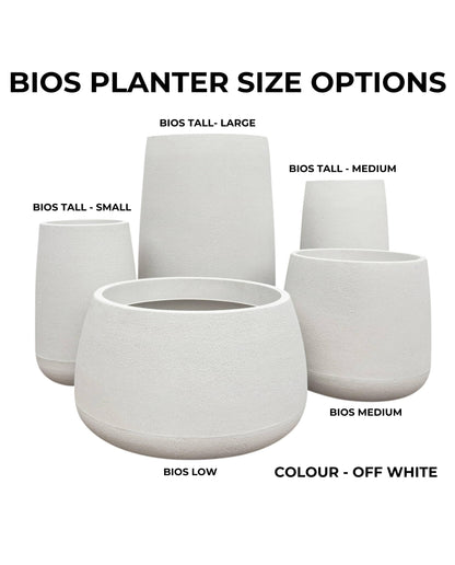 Bios Japi Planters       (click for details)