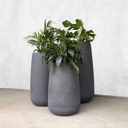 Bios Japi Planters       (click for details)
