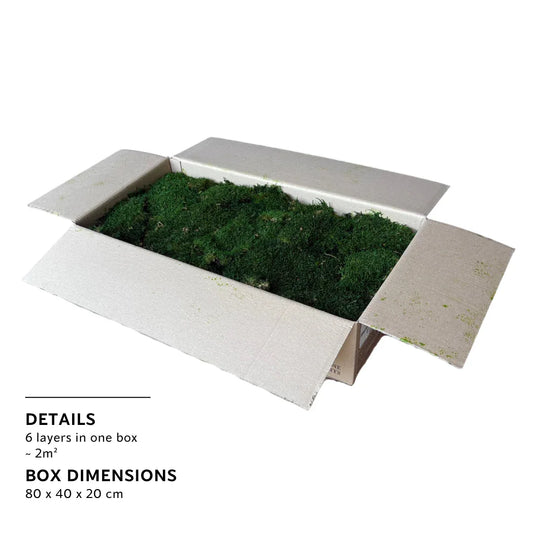 Real Preserved Flat Moss