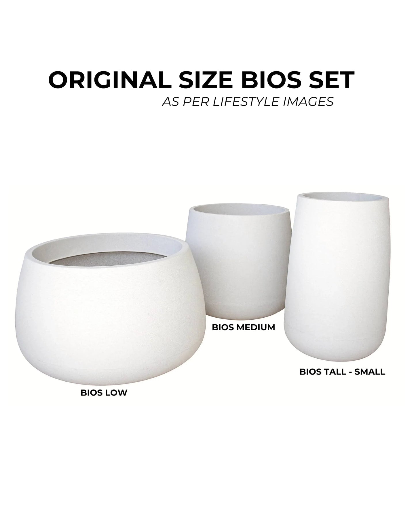 Bios Japi Planters       (click for details)