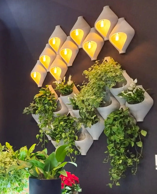 Gota Japi Studio Wall Planter