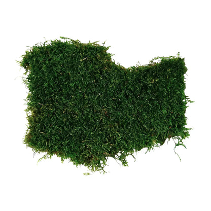 Real Preserved Flat Moss