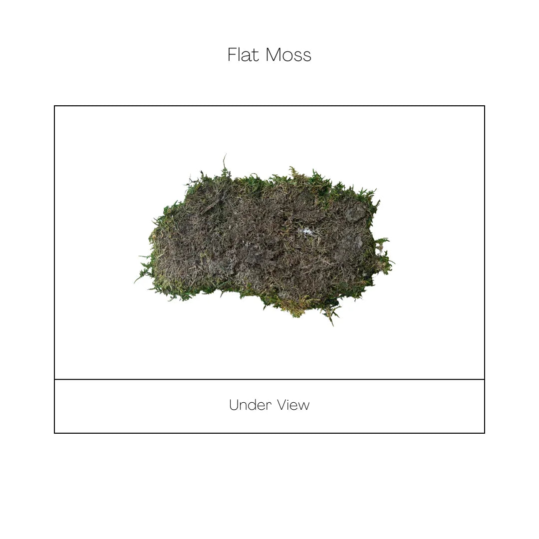 Real Preserved Flat Moss