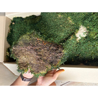 Real Preserved Flat Moss