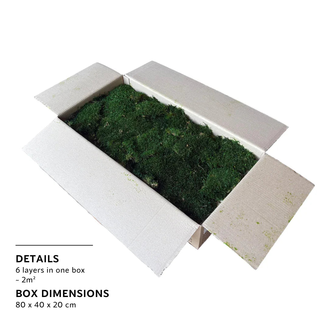 Real Preserved Flat Moss